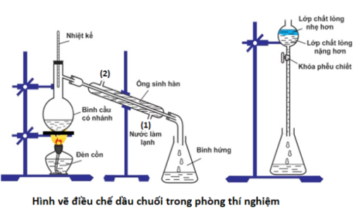 image1.png image1.png