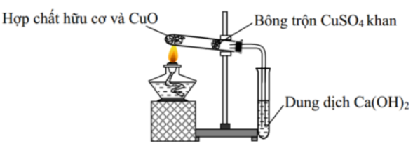 image1.png image1.png