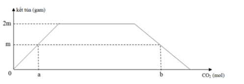 image1.png image1.png