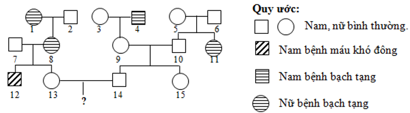 image2.png image2.png