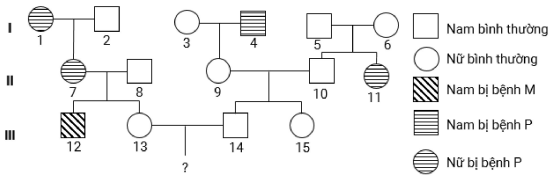 image1.png image1.png