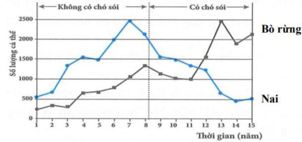 image2.png image2.png