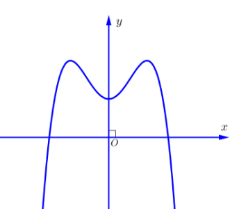 image3.png image3.png