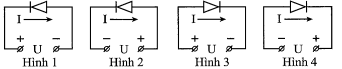 image2.png image2.png