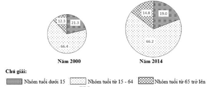 image2.png image2.png