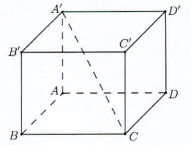 image5.png image5.png