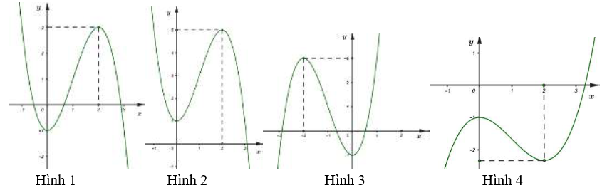 image2.png image2.png