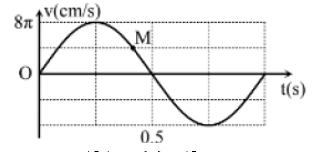 image2.png image2.png