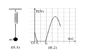 image1.png image1.png