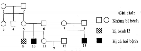 image1.png image1.png