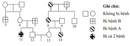 image1.png image1.png