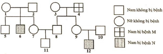 image2.png image2.png