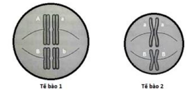 image1.png image1.png