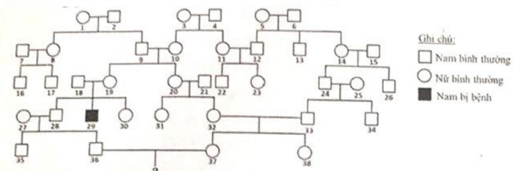 image2.png image2.png