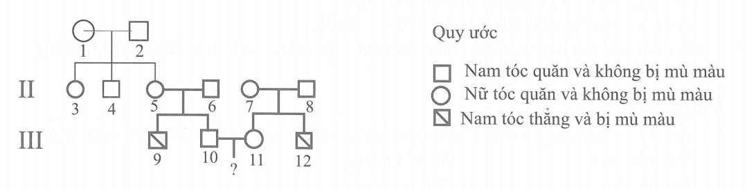 image5.jpg image5.jpg