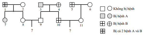 image2.png image2.png