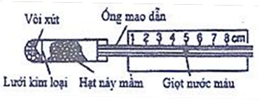 image5.png image5.png