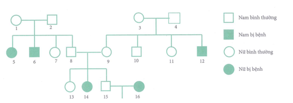 image7.png image7.png