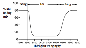 image1.png image1.png