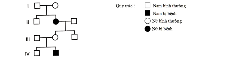 image3.png image3.png