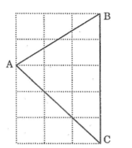 bai-81-trang-148-sach-bai-tap-toan-7-tap-1.png bai-81-trang-148-sach-bai-tap-toan-7-tap-1.png