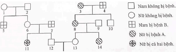 image1.png image1.png