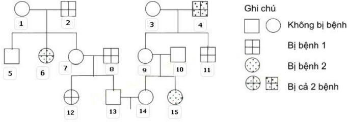 image1.png image1.png