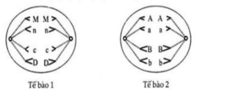 image1.png image1.png