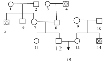 image2.png image2.png