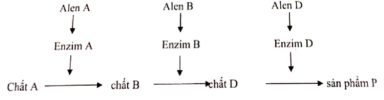 image2.png image2.png