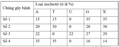 image1.png image1.png