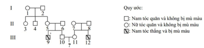 image2.png image2.png