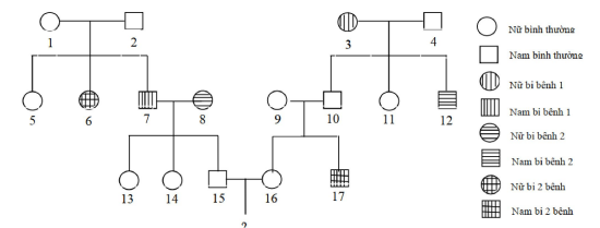 image1.png image1.png