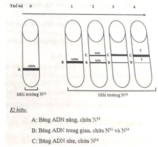 image1.png image1.png