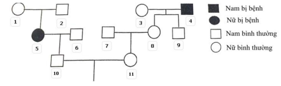 image2.png image2.png