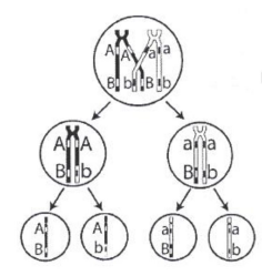 image3.png image3.png