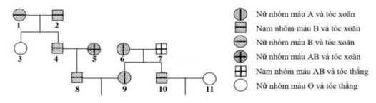 1638121730541.png 1638121730541.png