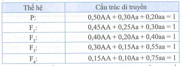 image6.png image6.png