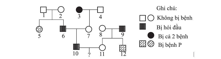 image4.png image4.png