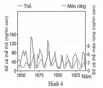 image4.png image4.png