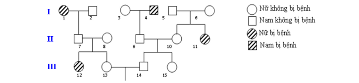 image3.png image3.png