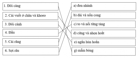 1638677235214.png