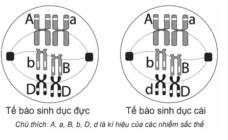 image2.png image2.png