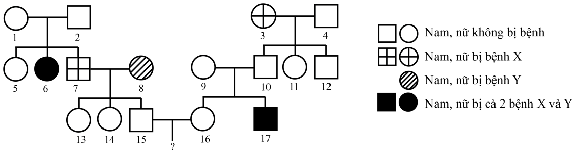 image1.png