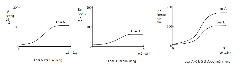 image2.png image2.png