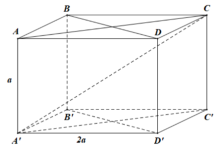 image5.png
