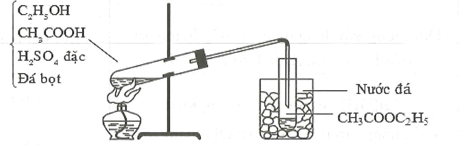 image2.png