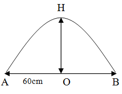 image5.png