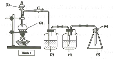 image1.png