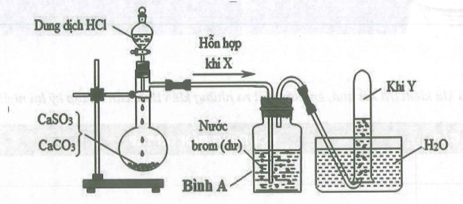 image1.png